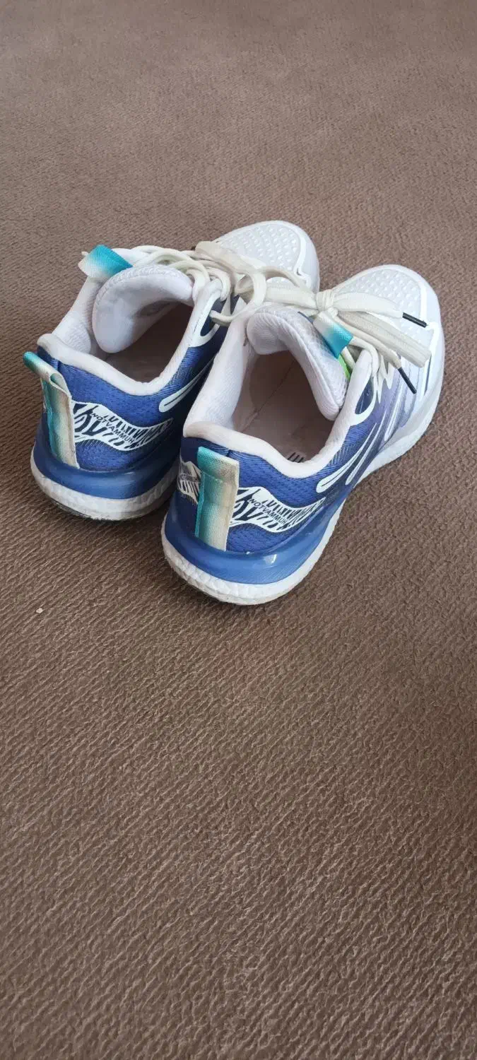 کفش سفید|کیف، کفش، کمربند|مهریز, |دیوار