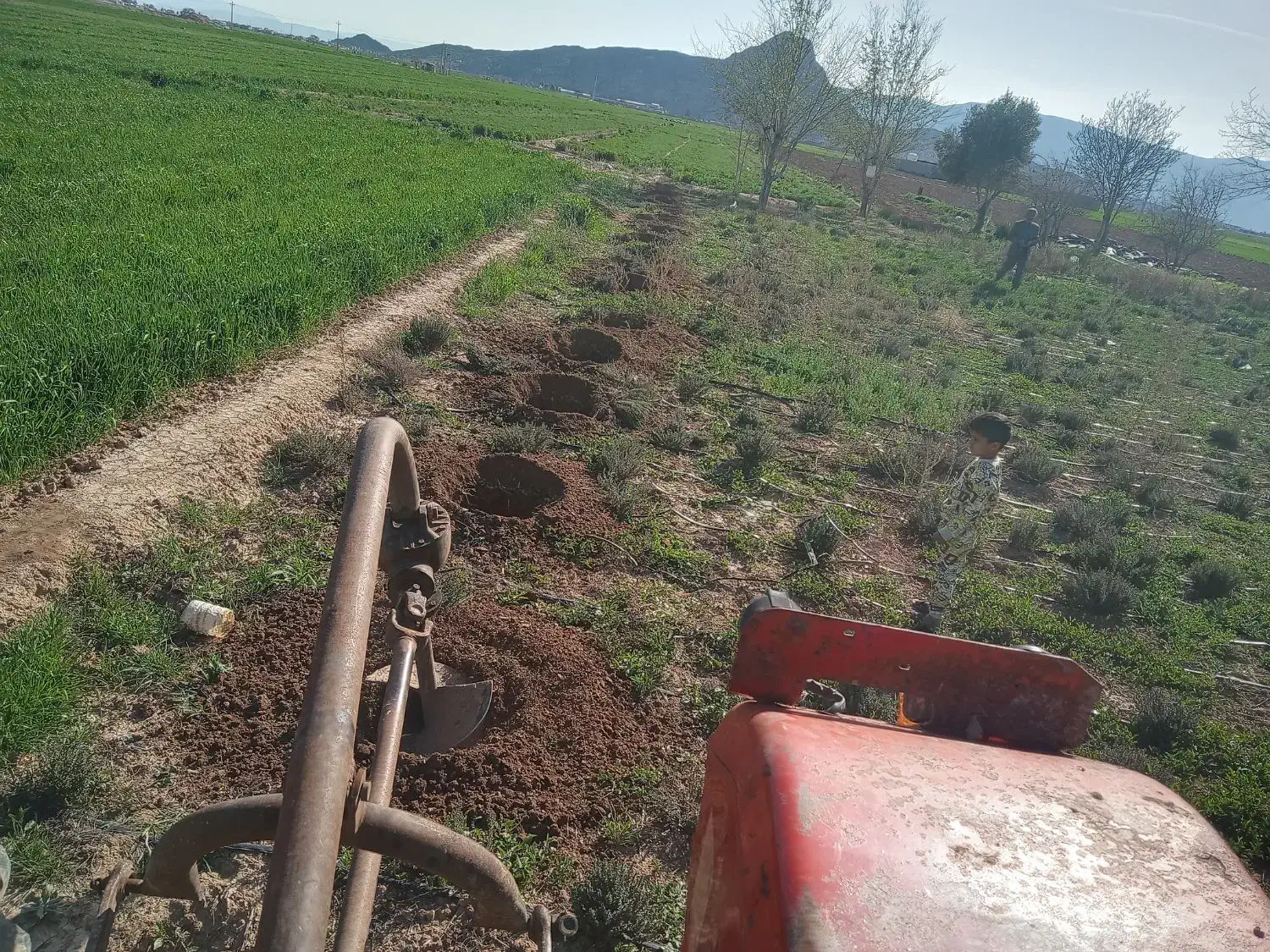 تراکتور فرگوسن مدل 79 تریلی وچاله کن|خودرو سنگین|ارسنجان, |دیوار