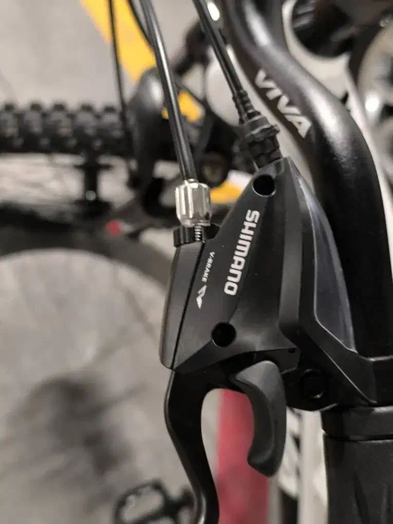 دوچرخه ویوا اصل تایوان نو|دوچرخه، اسکیت، اسکوتر|قدس, شهر‌قدس|دیوار