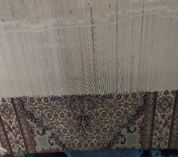 قالی نیمه بافت|فرش|بیرجند, |دیوار