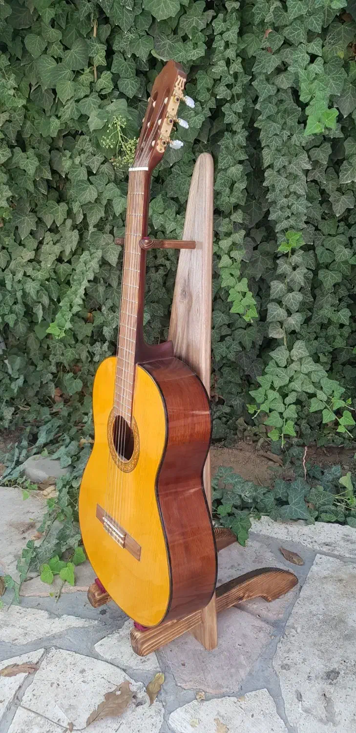 پایه استند گیتار|گیتار، بیس، امپلیفایر|دماوند, گیلاوند|دیوار