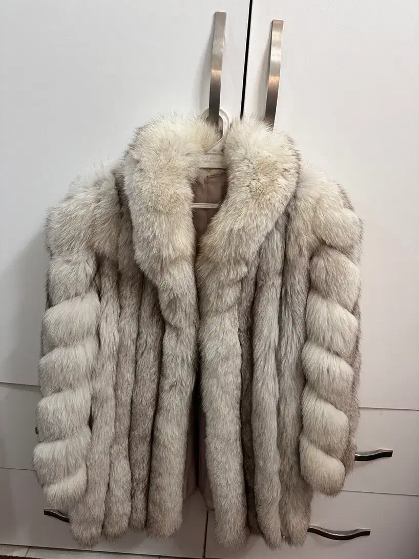 پالتو پوست|لباس|اسلامشهر, شهرک مفیدی|دیوار