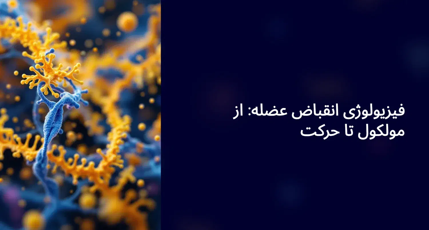 طراحی حرفه ای پاورپوینت|خدمات آموزشی|قم, پردیسان|دیوار