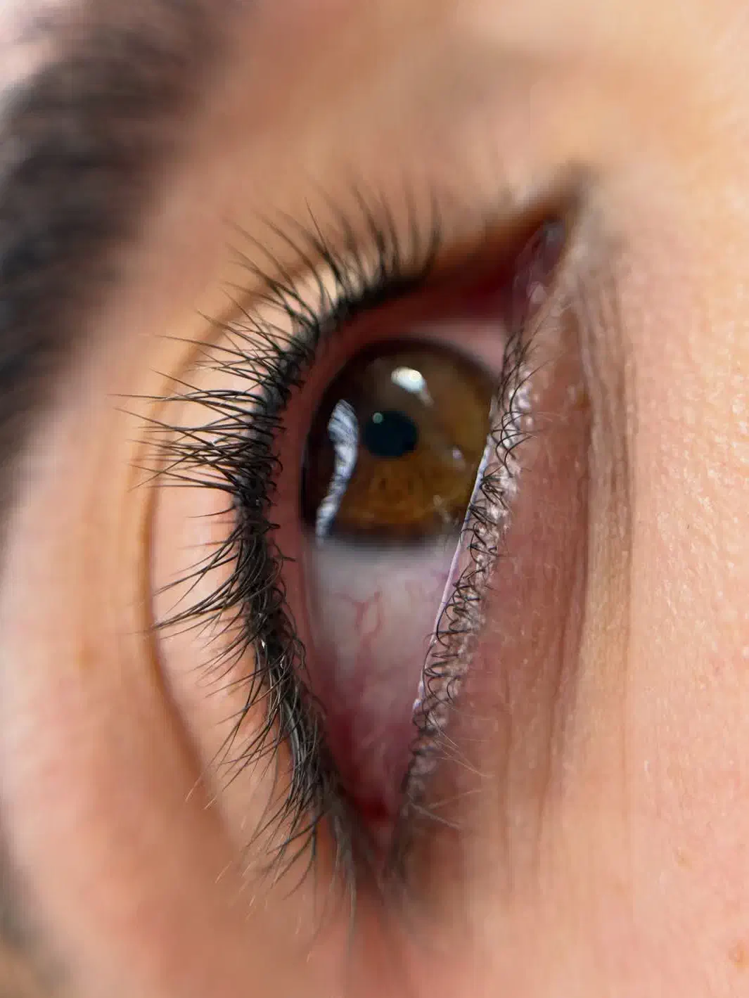 با آموزش تخصصی آرایش دائم درآمد میلیونی داشته باش|خدمات آرایشگری و زیبایی|گنبد کاووس, |دیوار