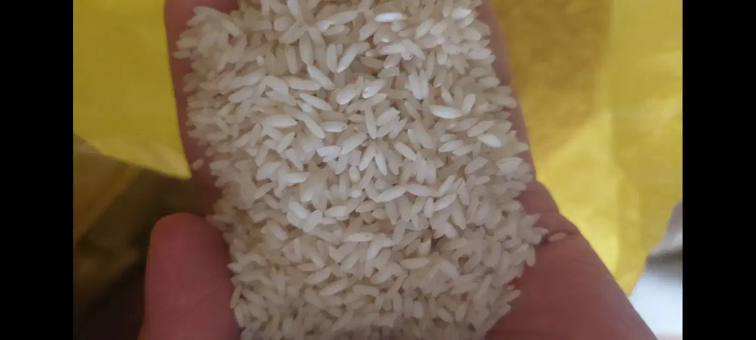 فروش برنج عنبر بو درجه1|خوردنی و آشامیدنی|اهواز, کمپلو جنوبی|دیوار