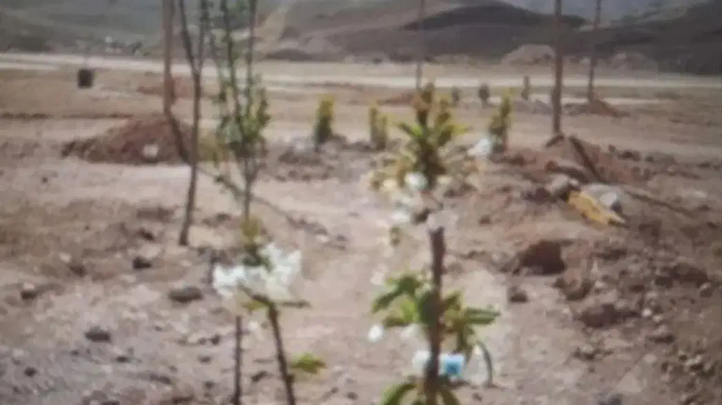 فراخوان عمومی جهت تفکیک|مشارکت در ساخت املاک|پردیس, فاز ۶|دیوار