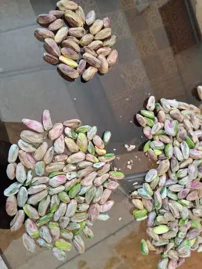 مغز پسته فروش عمده ای برای سوهان پزی و ...|خوردنی و آشامیدنی|قم, شاه احمد قاسم|دیوار