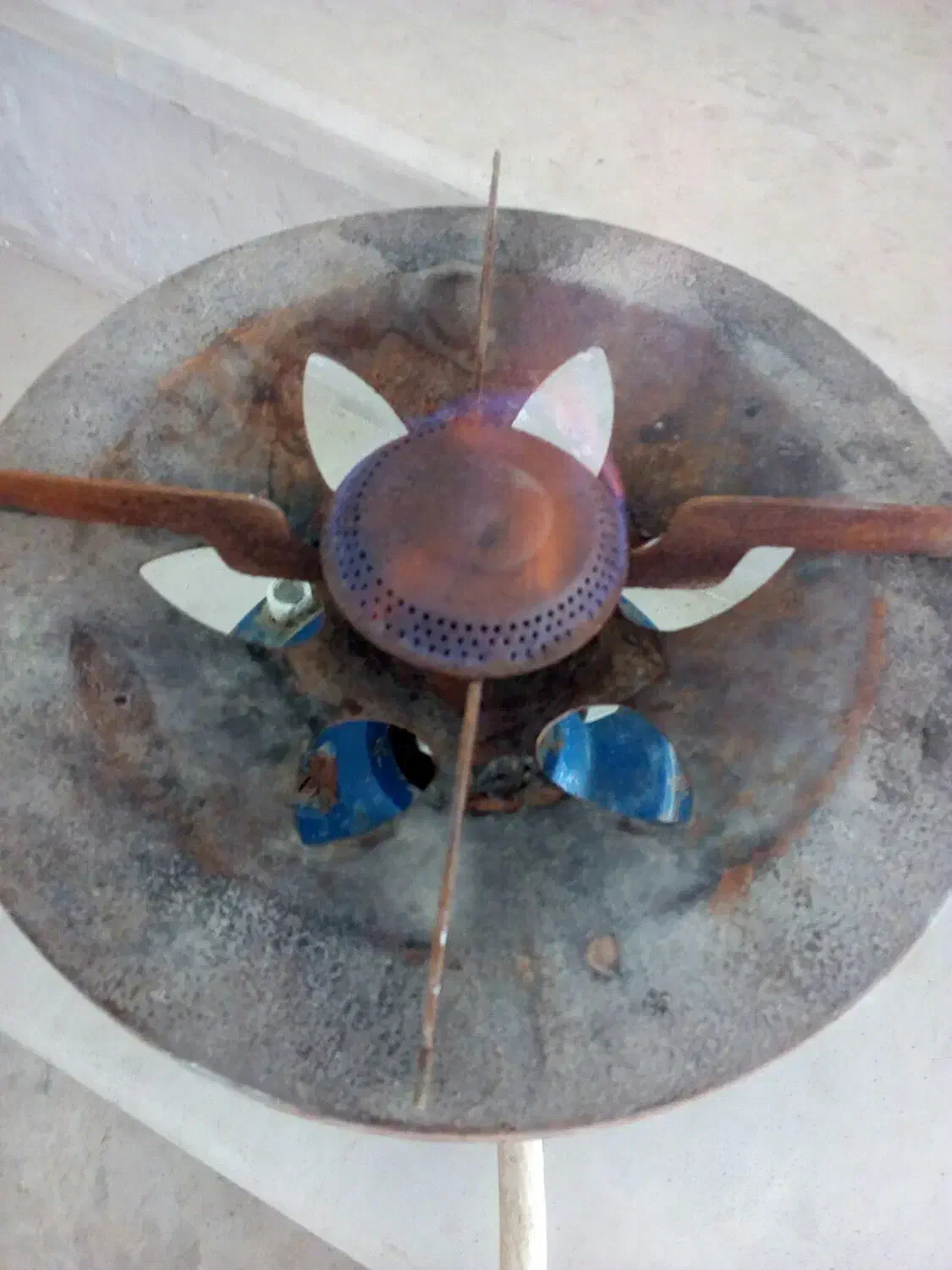 پیک نیک|اجاق گاز و لوازم برقی پختوپز|بجنورد, |دیوار