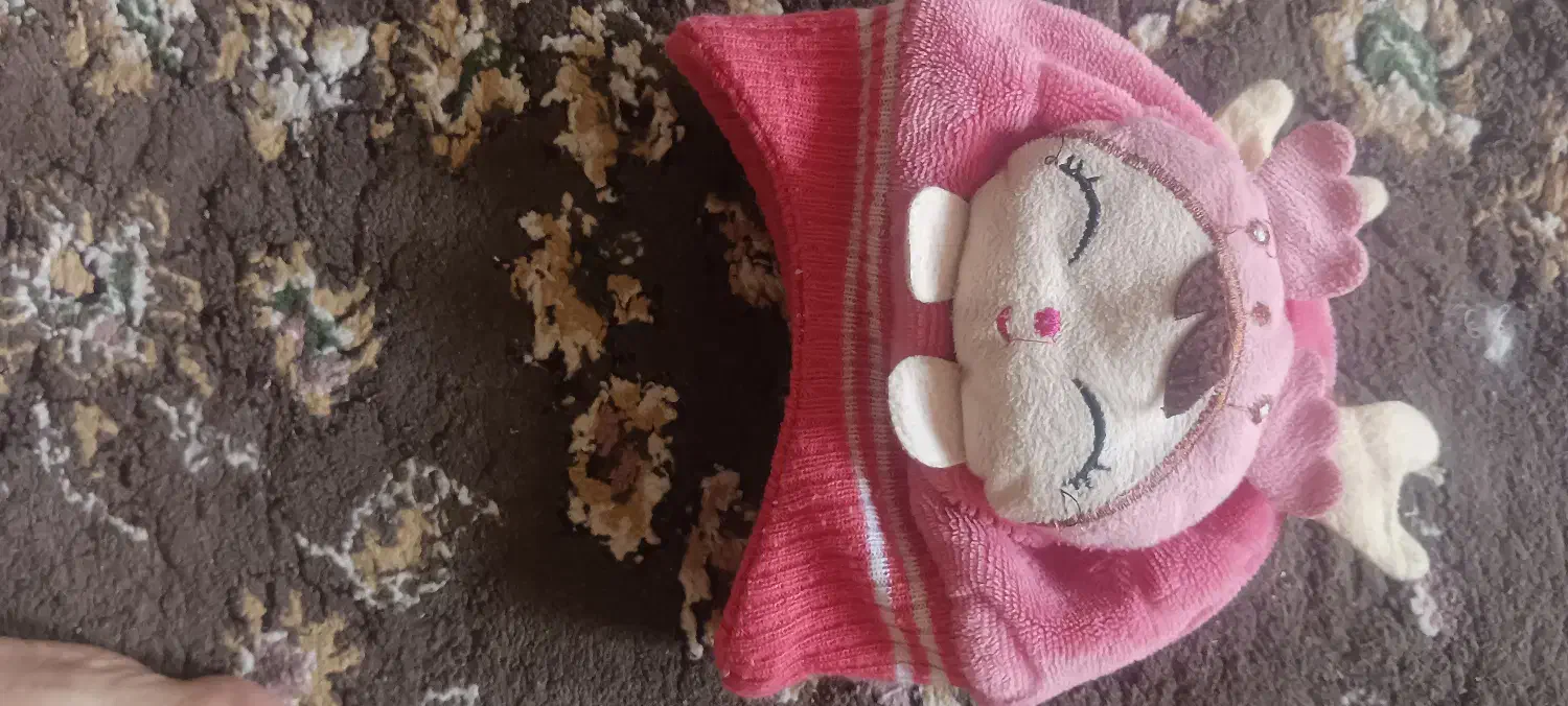 تعدادی لباس نوزادی دخترانه|کفش و لباس بچه|زارچ, |دیوار