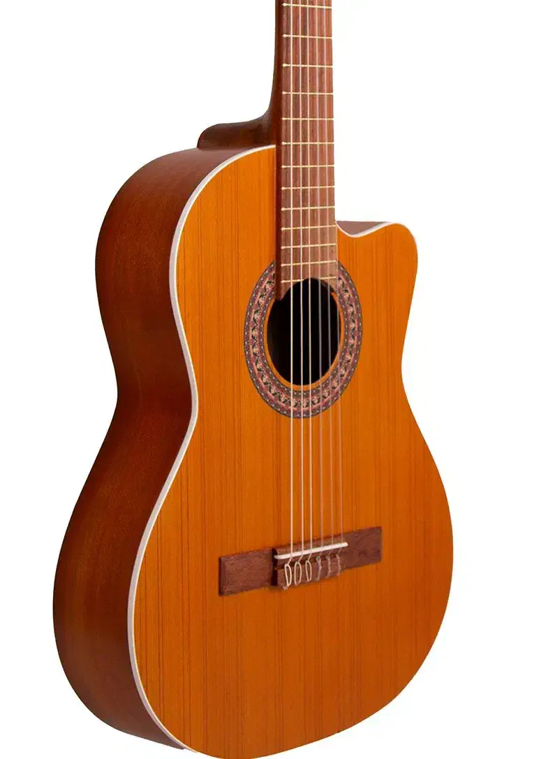 گیتار کلاسیک parsi|گیتار، بیس، امپلیفایر|تبریز, |دیوار