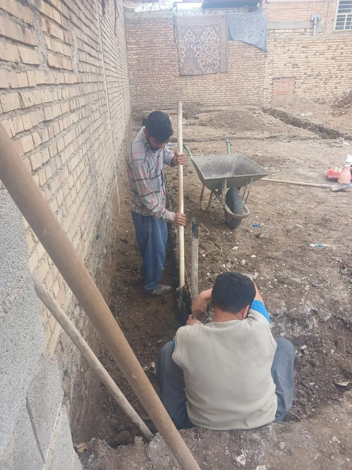 هرگونه کنده کاری  پی چاه پالانه چاله سپتینگ باغچه|خدمات باغبانی و درختکاری|گنبد کاووس, |دیوار