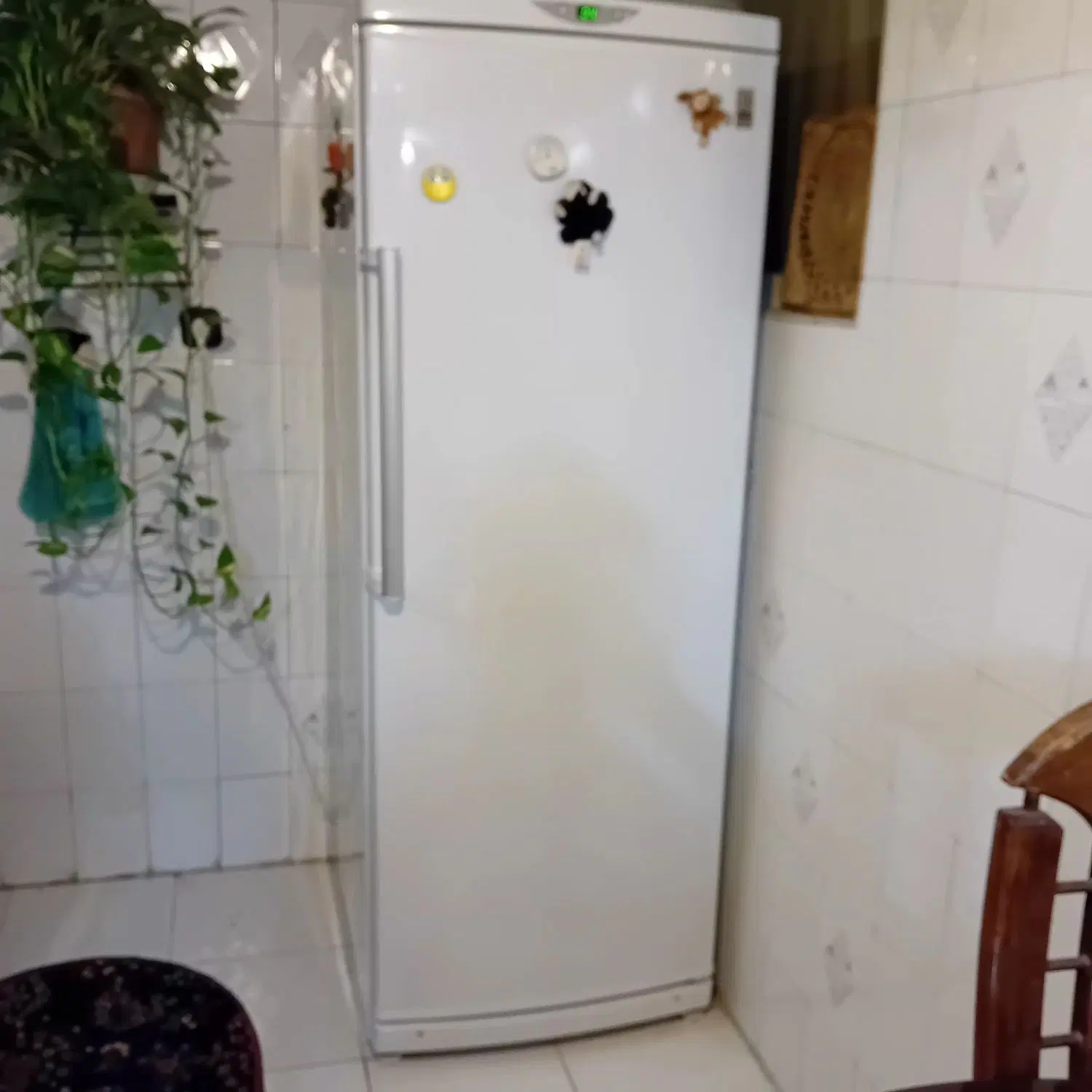 یخچال|یخچال و فریزر|مشهد, فرهنگ|دیوار
