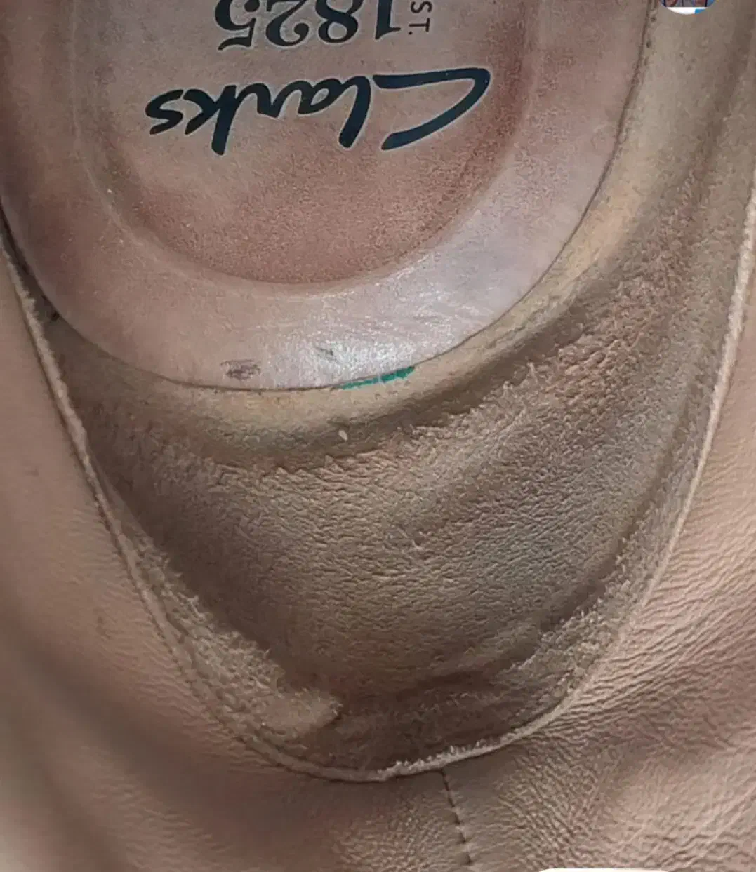 کفش کلارک اصل انگلیس|کیف، کفش، کمربند|سرخه حصار, |دیوار