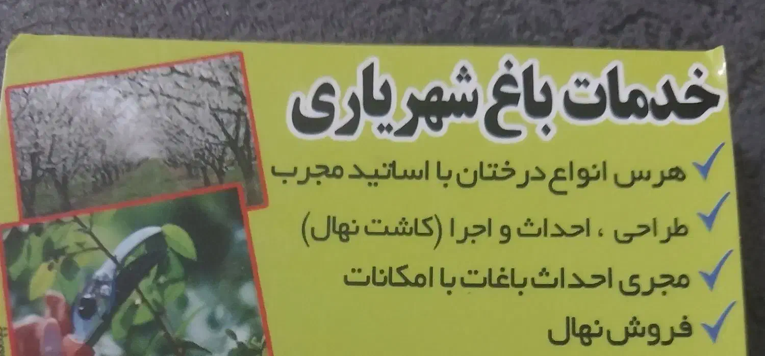 هرس درختان|خدمات باغبانی و درختکاری|خان ببین, |دیوار