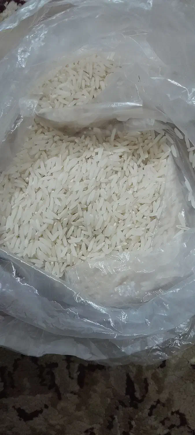 برنج هاشمی درجه ۱ سورتینگ شده|خوردنی و آشامیدنی|رشت, منظریه|دیوار