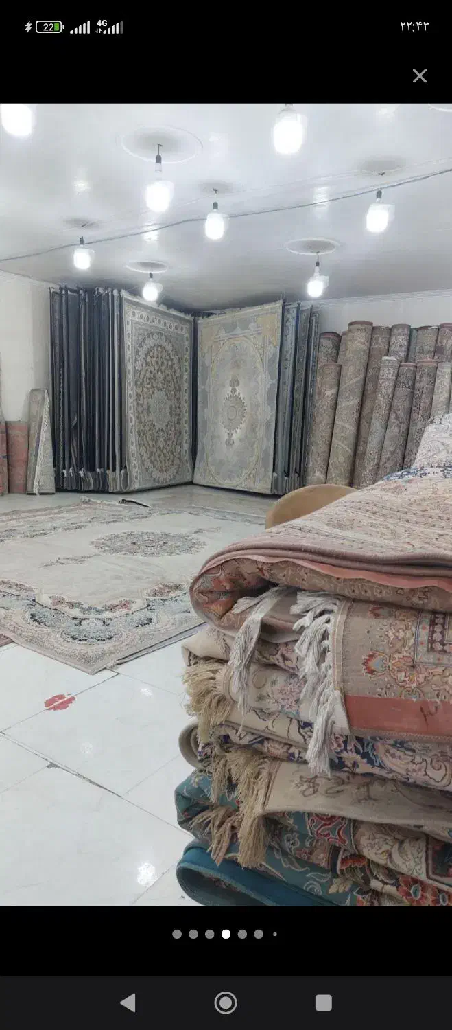 فرش نو|فرش|زاهدان, |دیوار