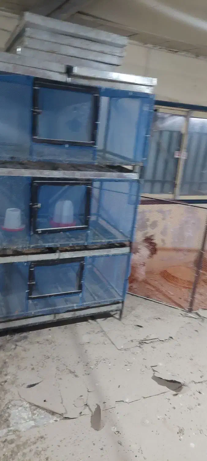 قفس|لوازم جانبی حیوانات|اردبیل, |دیوار