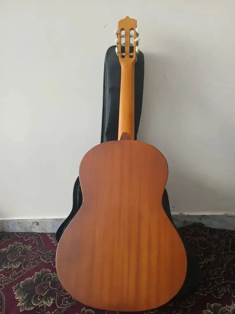 گیتار|گیتار، بیس، امپلیفایر|اصفهان, باغ فردوس|دیوار