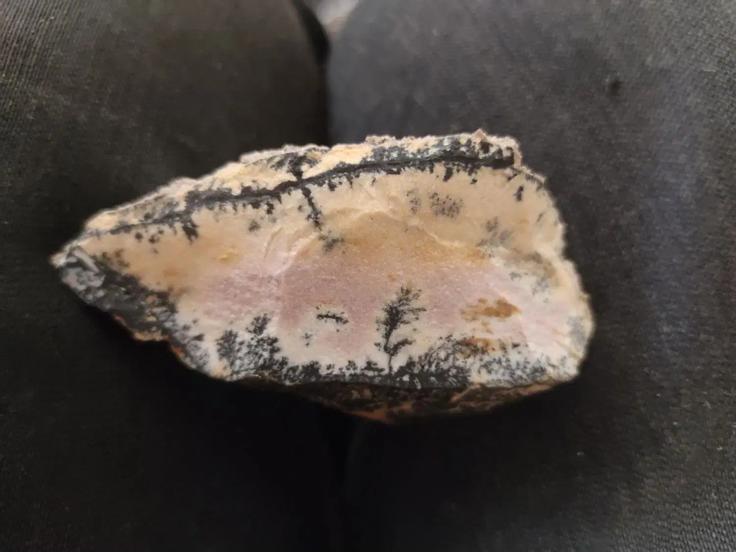 شجر|کلکسیون اشیاء عتیقه|شیراز, دشت چنار|دیوار