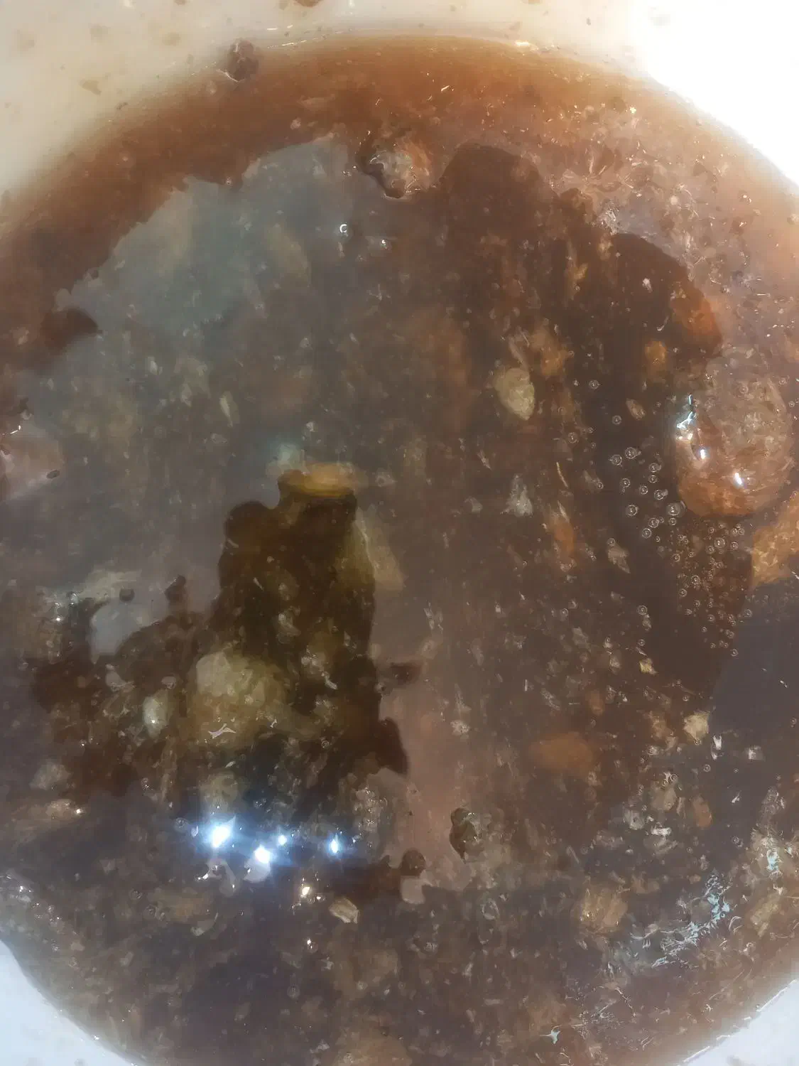 عسل کوهی درمانی|خوردنی و آشامیدنی|فیروزآباد (لرستان), |دیوار