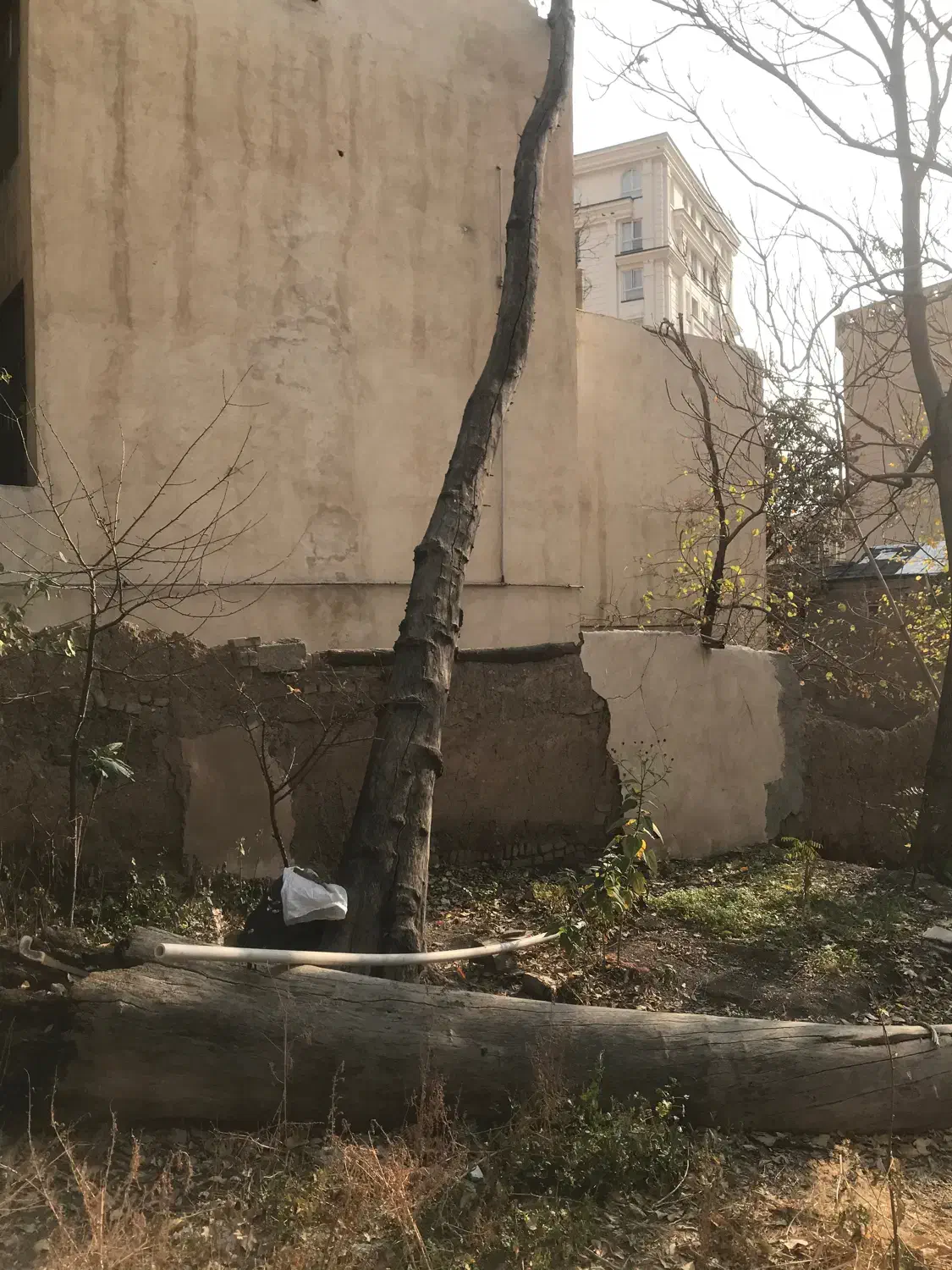 چوب|مصالح و تجهیزات ساختمان|تهران,  امام زاده قاسم (نیاوران)|دیوار