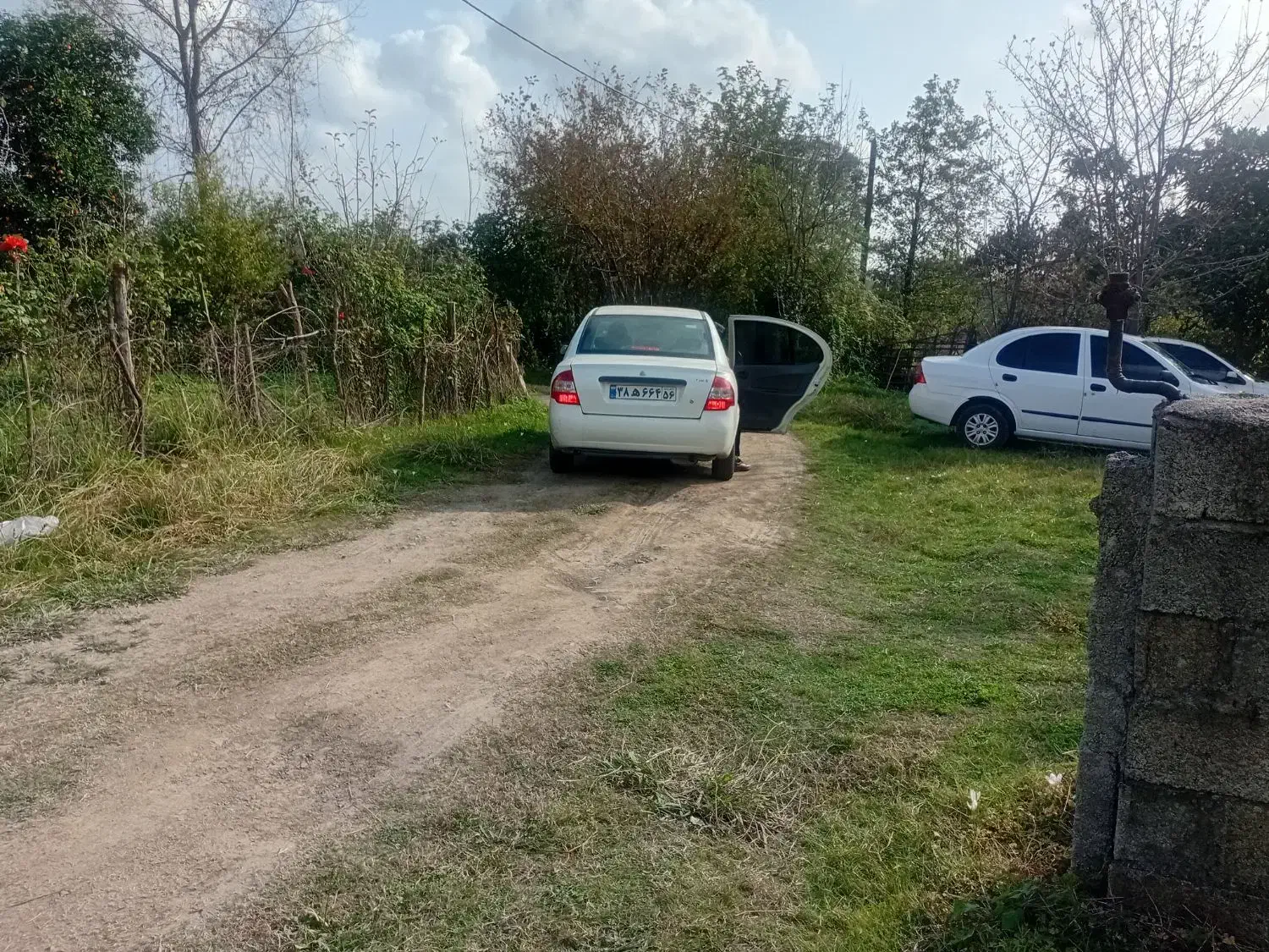 فروش زمین ۴۶۵متری|فروش زمین و ملک کلنگی|شاندرمن, |دیوار