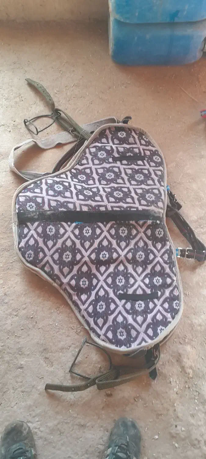 زین اسب|اسب و تجهیزات اسبسواری|گل تپه, |دیوار