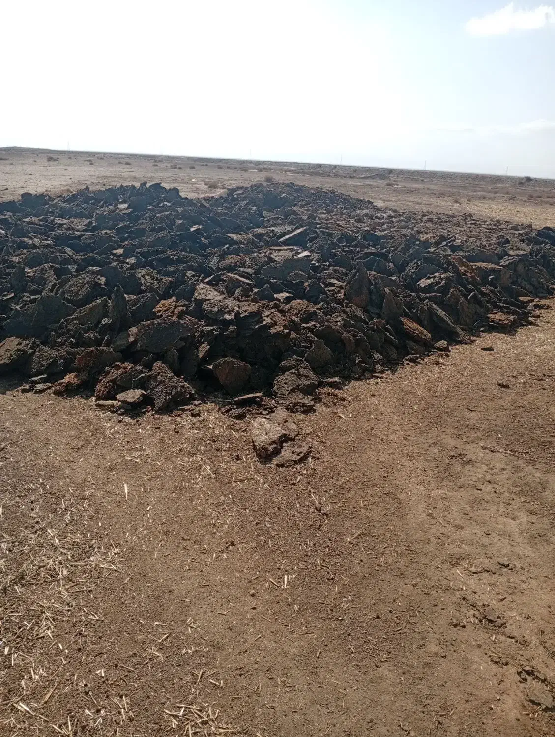 کود کرمه گوسفندی|گل و گیاه طبیعی|بشاریات, |دیوار