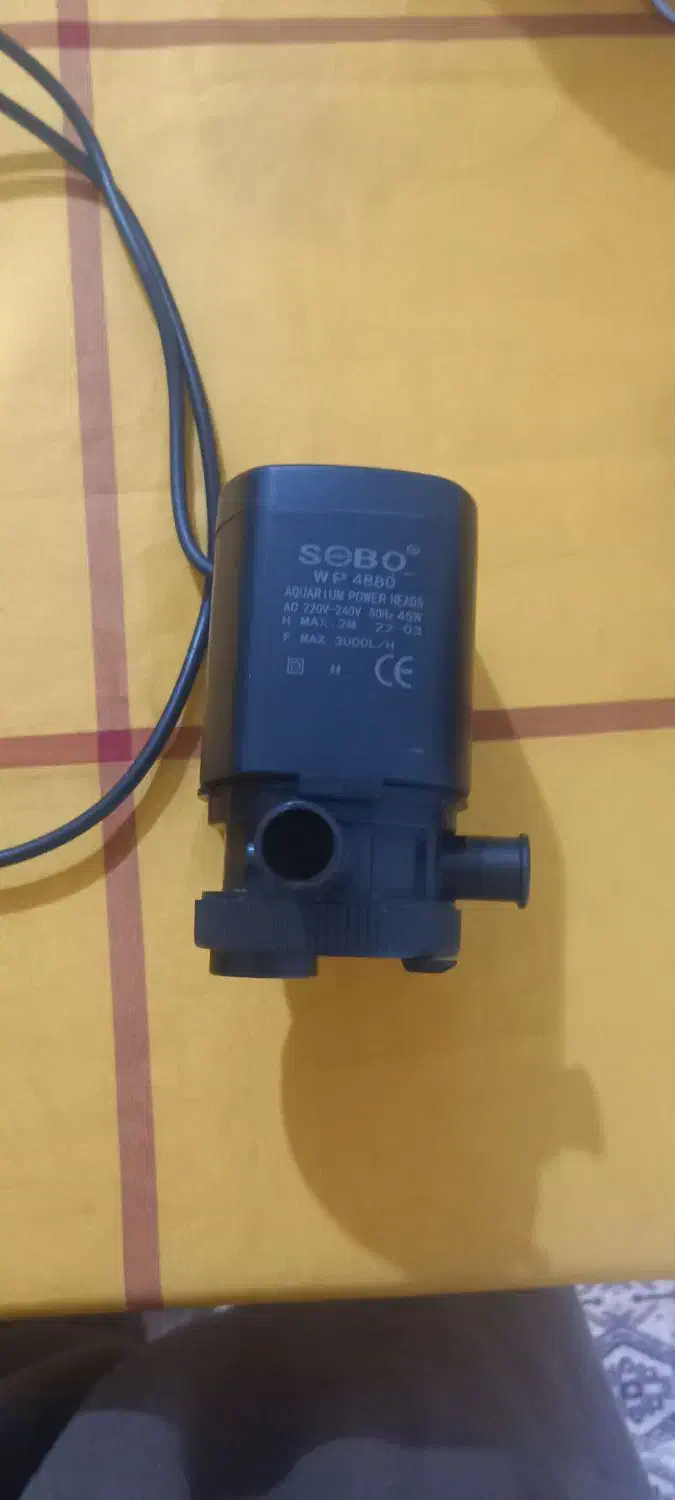 وسایل آکواریوم|ماهی|ارومیه, |دیوار