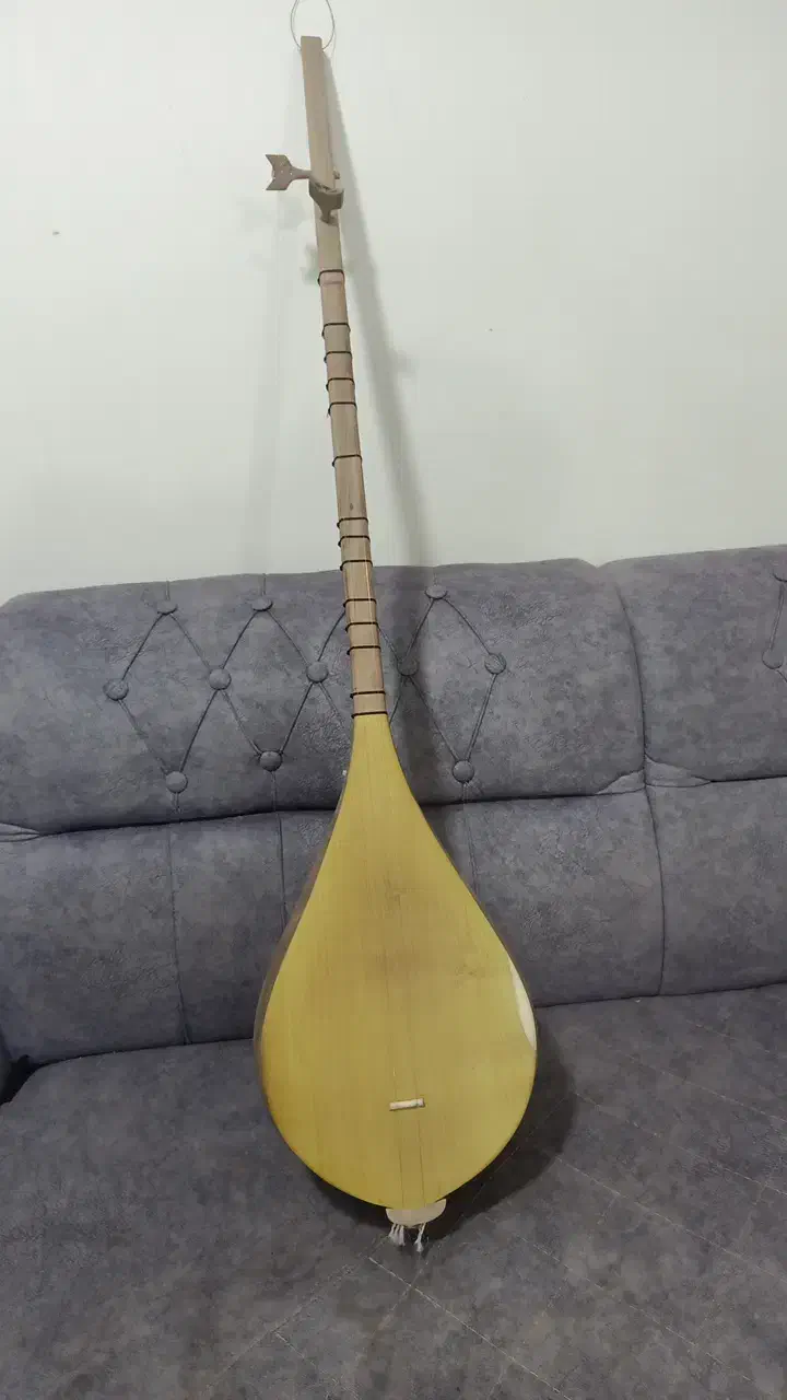 دوتار  استادی|سازهای سنتی|شادمهر, |دیوار