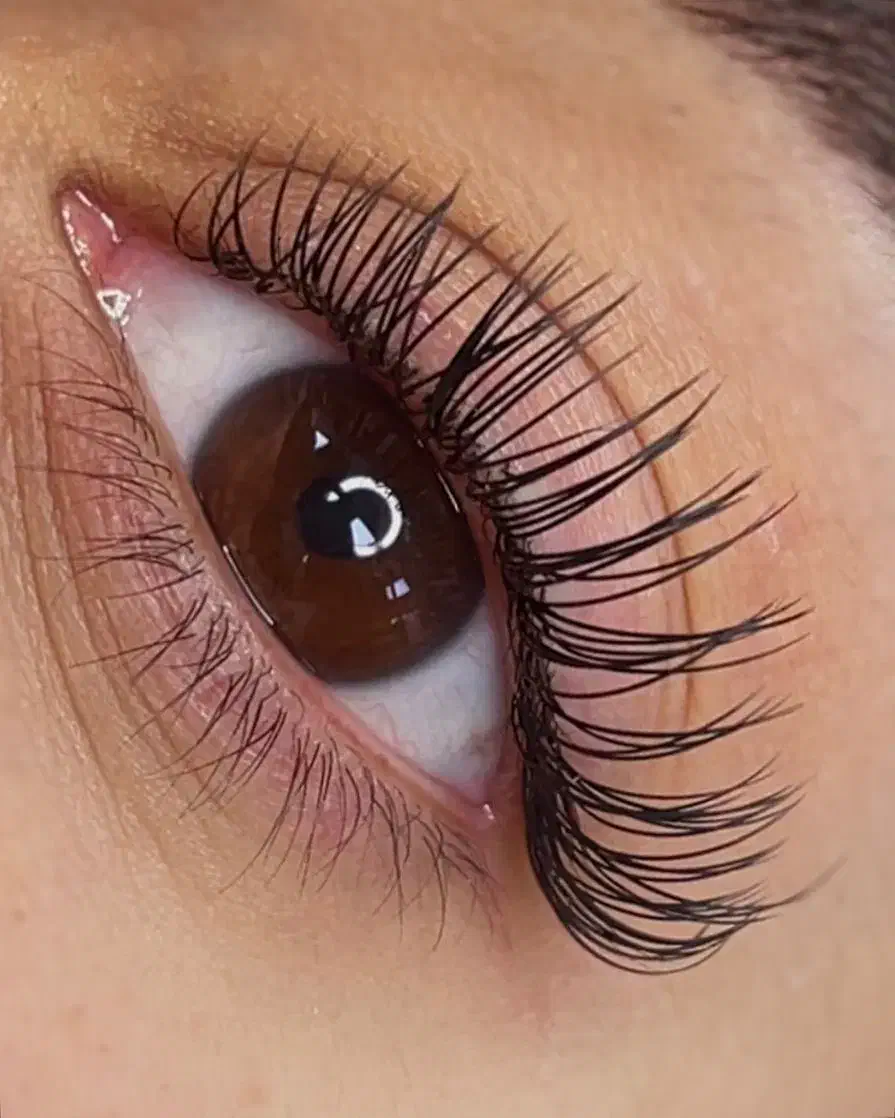 مدل اکستنشن مژه کاملا رایگان|خدمات آرایشگری و زیبایی|تهران, علم و صنعت|دیوار