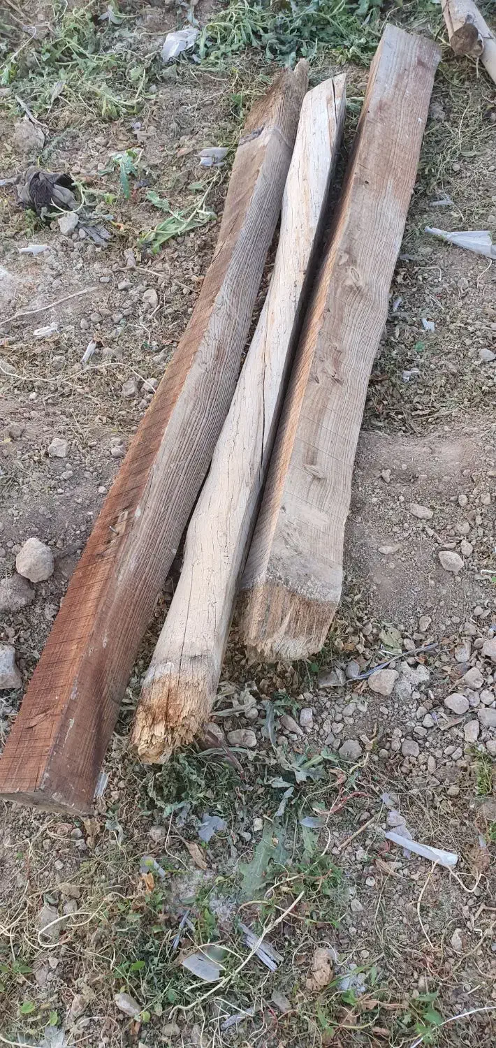 چوب ذغالی|خدمات باغبانی و درختکاری|مبارکه, |دیوار