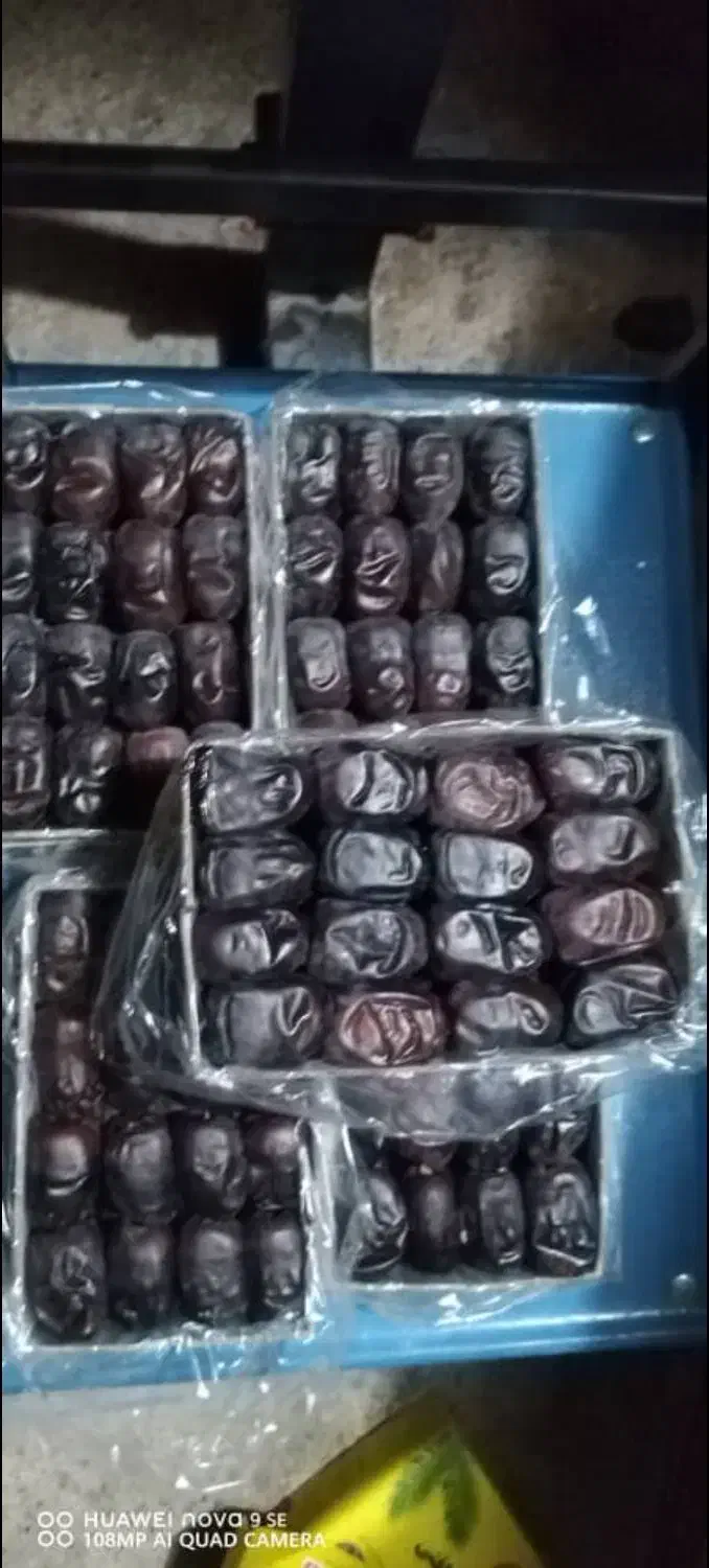 خرما مضافتی بم|خوردنی و آشامیدنی|شیراز, شهرک مهدیه|دیوار