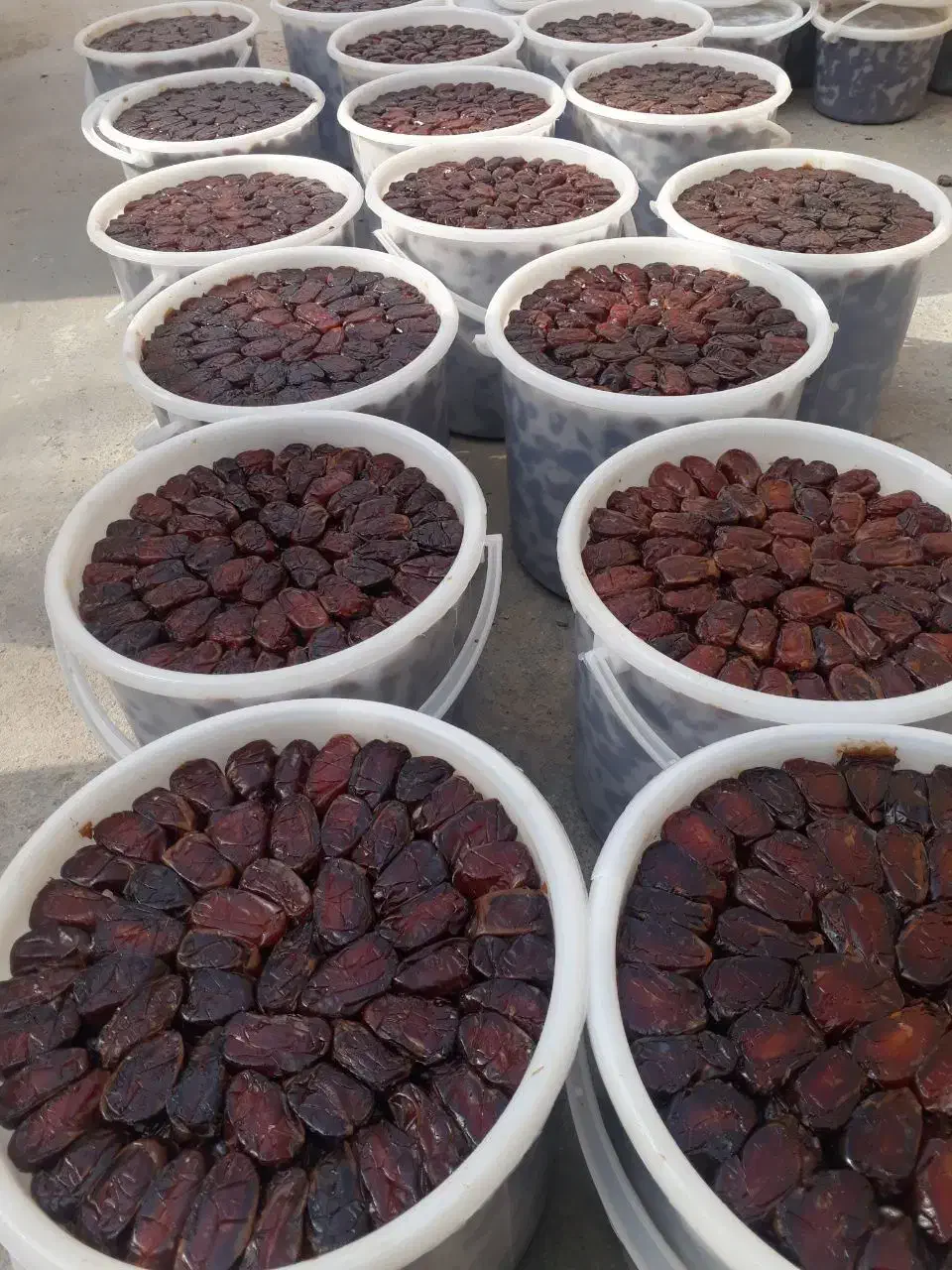 خرما کبکاب ،خاصویی خاصی ،استعمران خوزستان صادراتی|خوردنی و آشامیدنی|تهران, نیروی هوایی (پیروزی)|دیوار