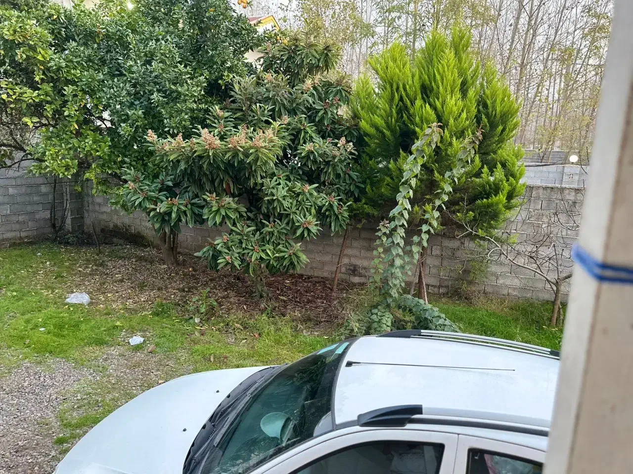 رهن خانه ویلایی آستانه اشرفیه .لاهیجان|اجارهٔ خانه و ویلا|آستانه اشرفیه, |دیوار