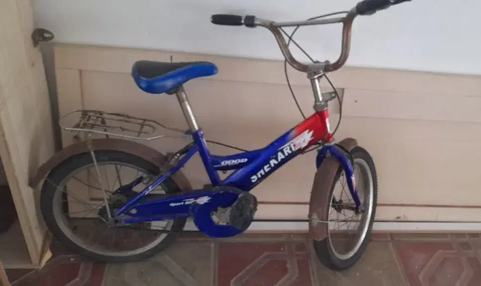 دوچرخه سایز ۱۶|دوچرخه، اسکیت، اسکوتر|رودسر, |دیوار