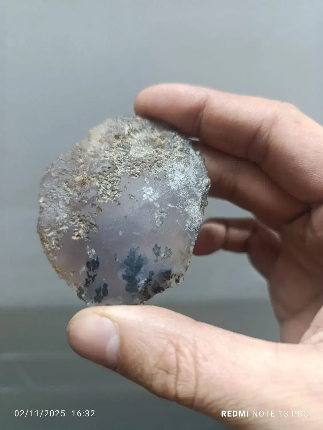 راف شجرمشکی تک درخت|جواهرات|یزد, |دیوار