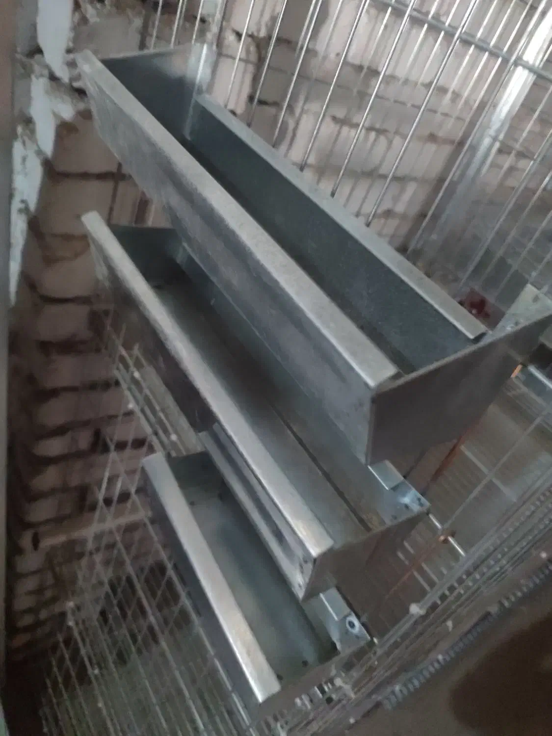 قفس پرنده کبوتر عروس هلندی فنج قناری|لوازم جانبی حیوانات|فلاورجان, |دیوار