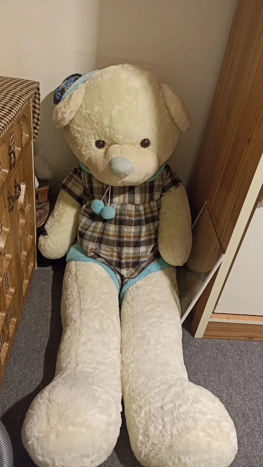 عروسک|اسباب‌‌بازی|ارومیه, |دیوار