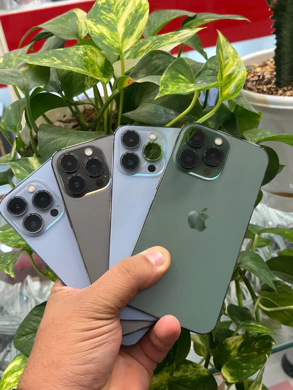 Iphone 13pro cha|موبایل|شیراز, گود عربان|دیوار