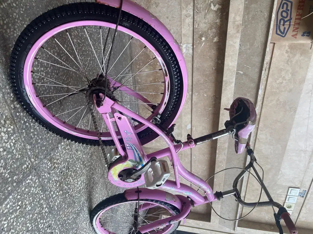 دوچرخه|دوچرخه، اسکیت، اسکوتر|امیدیه, |دیوار