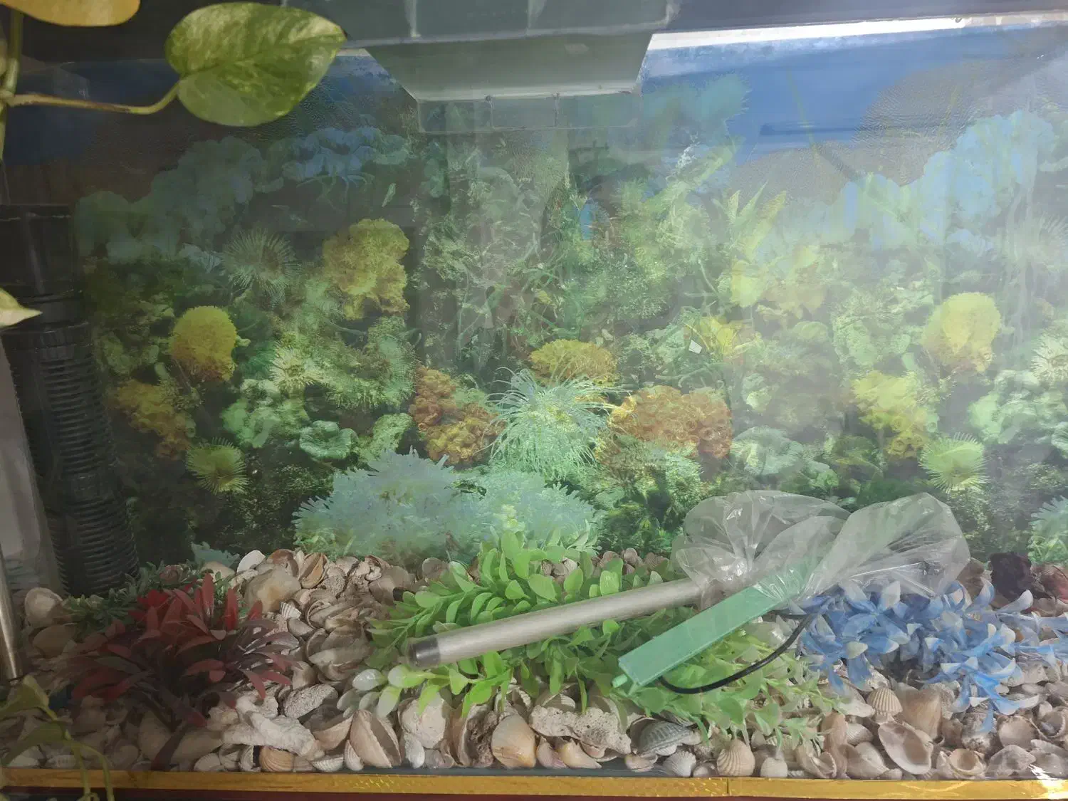 اکواریوم بزرگ|ماهی|مشهد, حسینآباد|دیوار