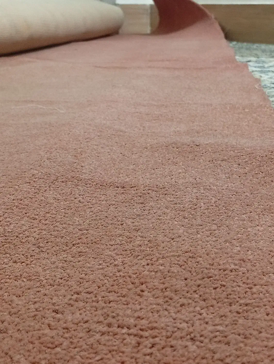 موکت پالاز|موکت|فاضل آباد, |دیوار