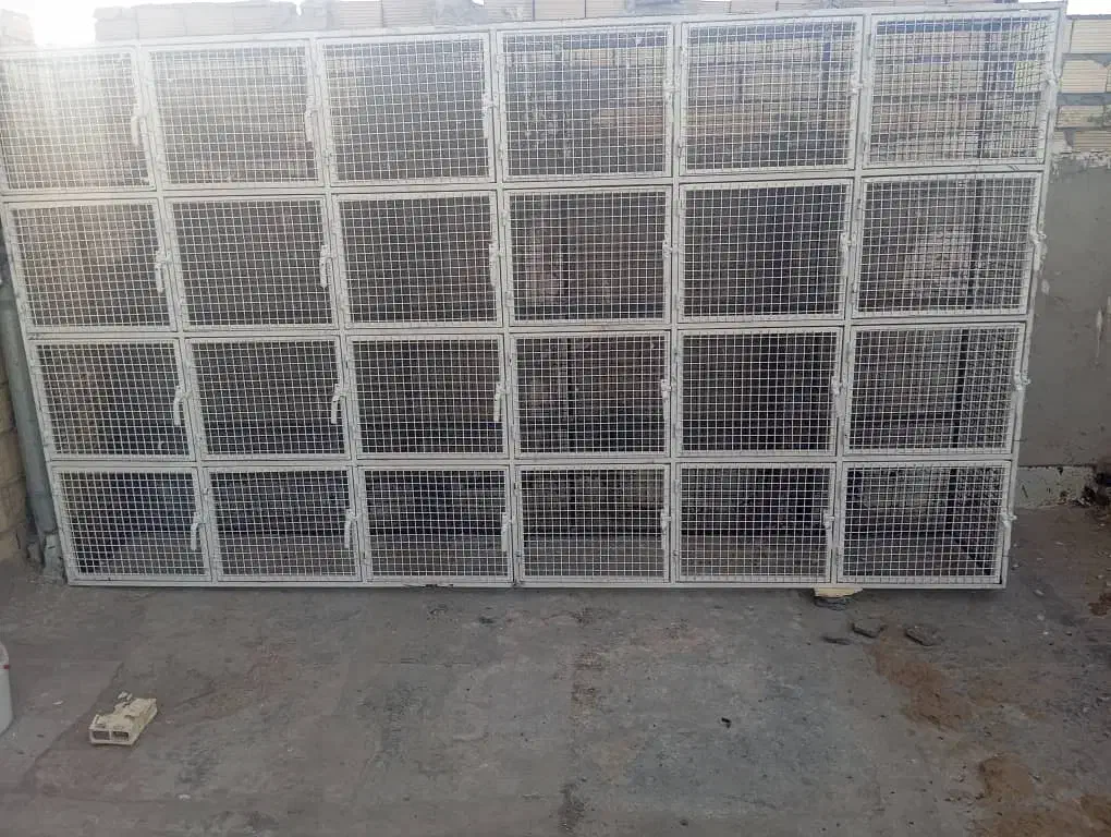 جفتکن|لوازم جانبی حیوانات|سیرجان, |دیوار