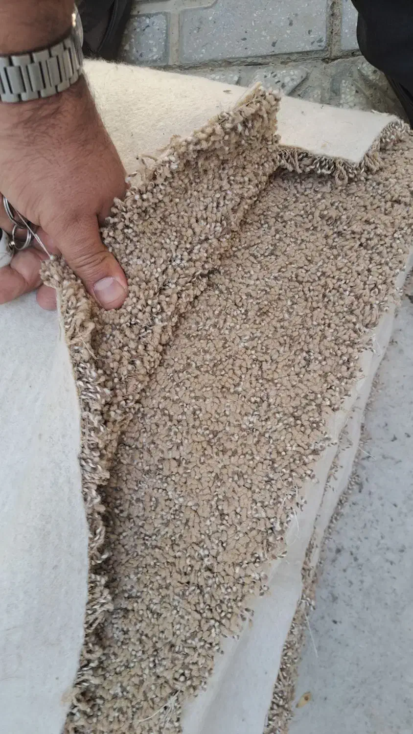 موکت پالاز ۹متری|موکت|بروجرد, |دیوار