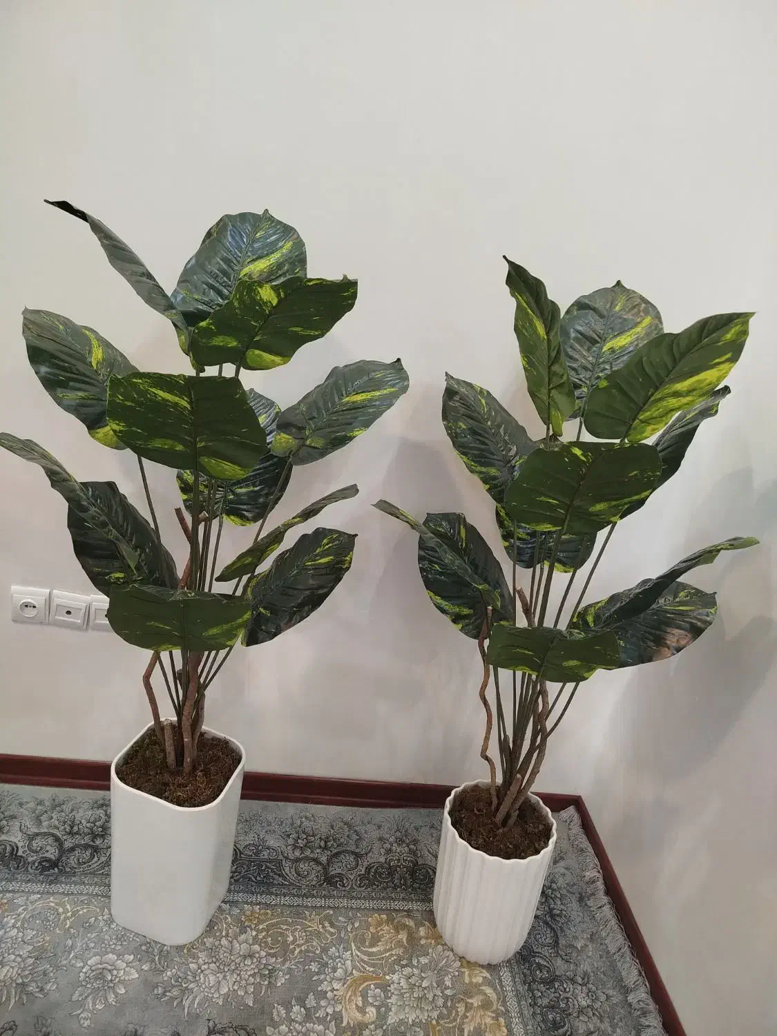 گل پرنده بهشتی|گل مصنوعی|دورود, |دیوار