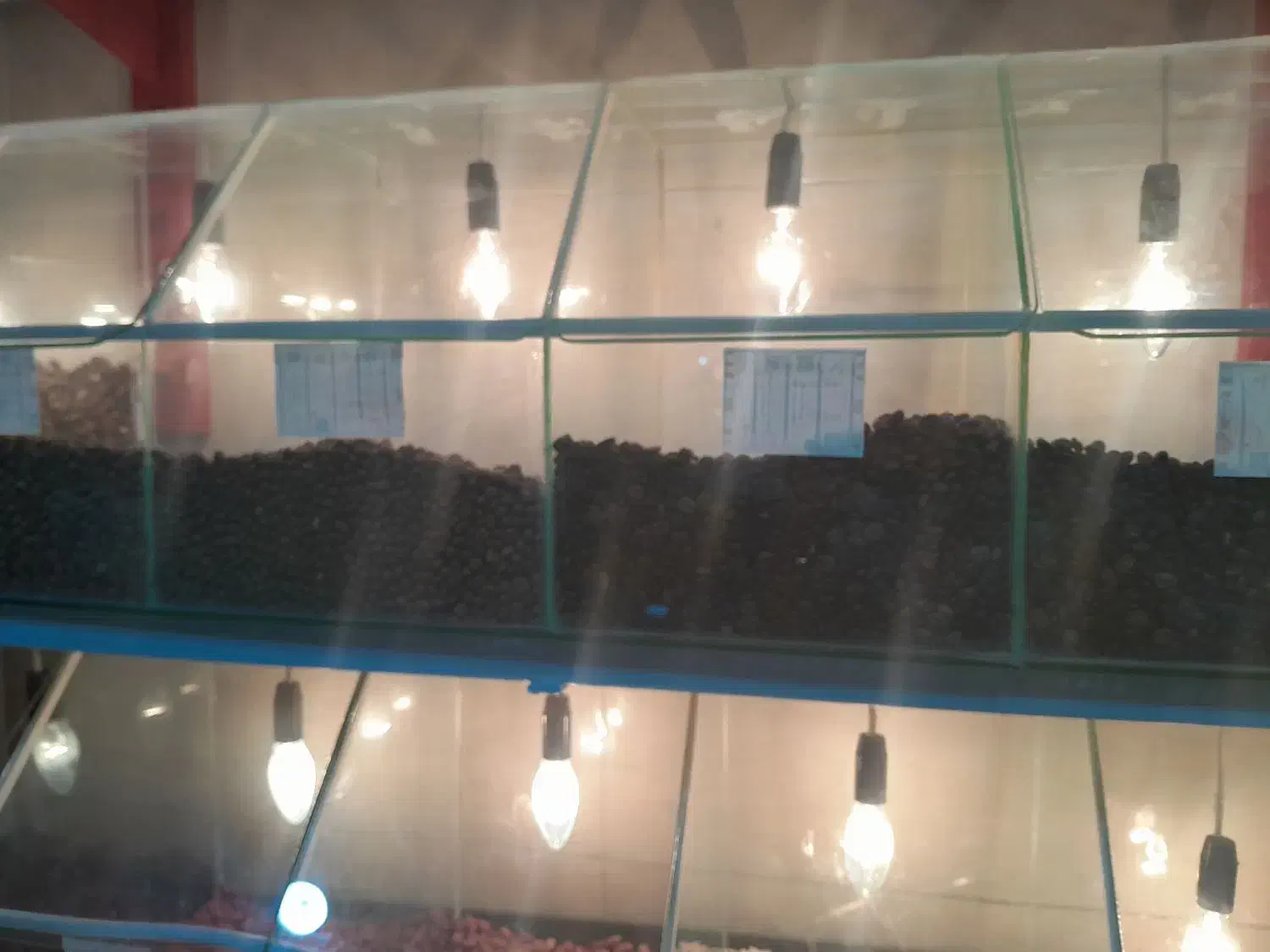 دان قهوه و پودر قهوه|کافی‌شاپ و رستوران|بندر انزلی, آذربایجان|دیوار