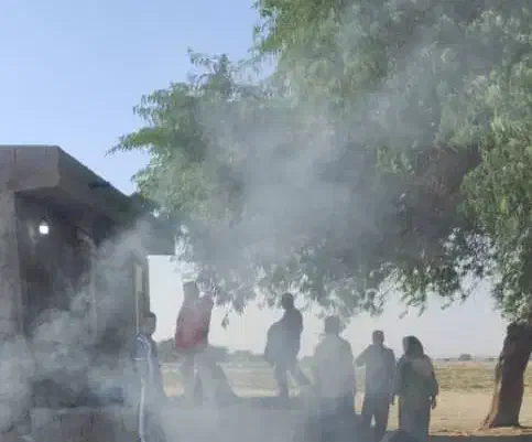 زمین زراعی برقی برای کشاورزی|اجارهٔ دفتر صنعتی، کشاورزی، تجاری|شبانکاره, |دیوار