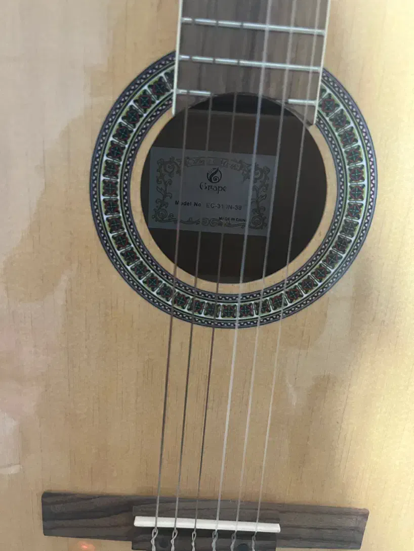 گیتار گریپ|گیتار، بیس، امپلیفایر|تهران, اباذر|دیوار