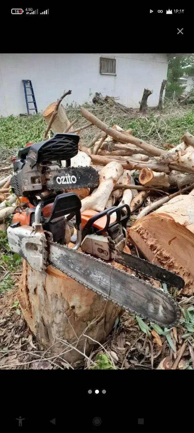 حرس و برش درخت|خدمات باغبانی و درختکاری|تهران, تهرانسر شمالی|دیوار